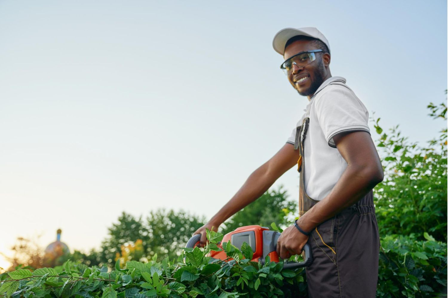 Garden Cleaning and Maintenance
